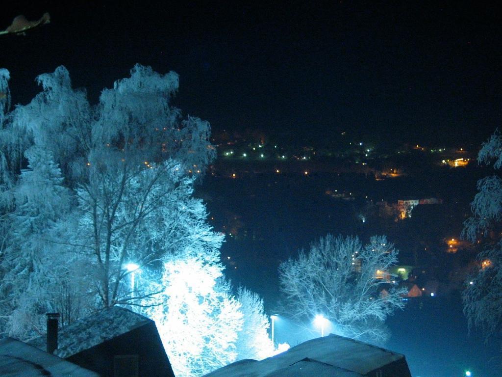 Ferienhaus Hajek Freyung Pokoj fotografie